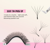 BEFER 5D W Shaped Premade Fans Eyelashes Extensions