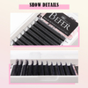 BEFER 3D W Shaped Premade Fans Eyelashes Extensions