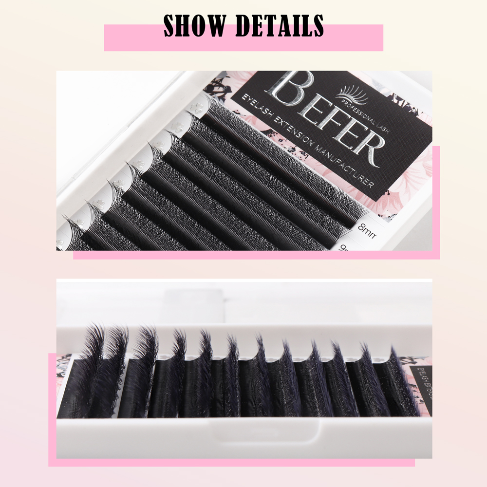 BEFER 6D W Shaped Premade Fans Eyelashes Extensions