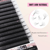BEFER 6D W Shaped Premade Fans Eyelashes Extensions