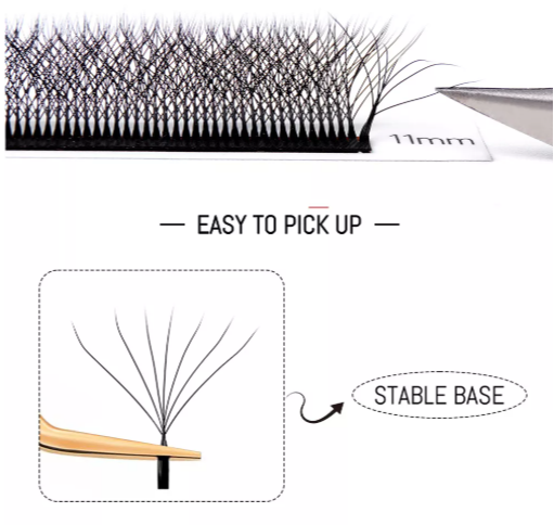 W Shape Eyelash Extension