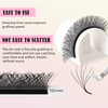 BEFER 6D W Shaped Premade Fans Eyelashes Extensions