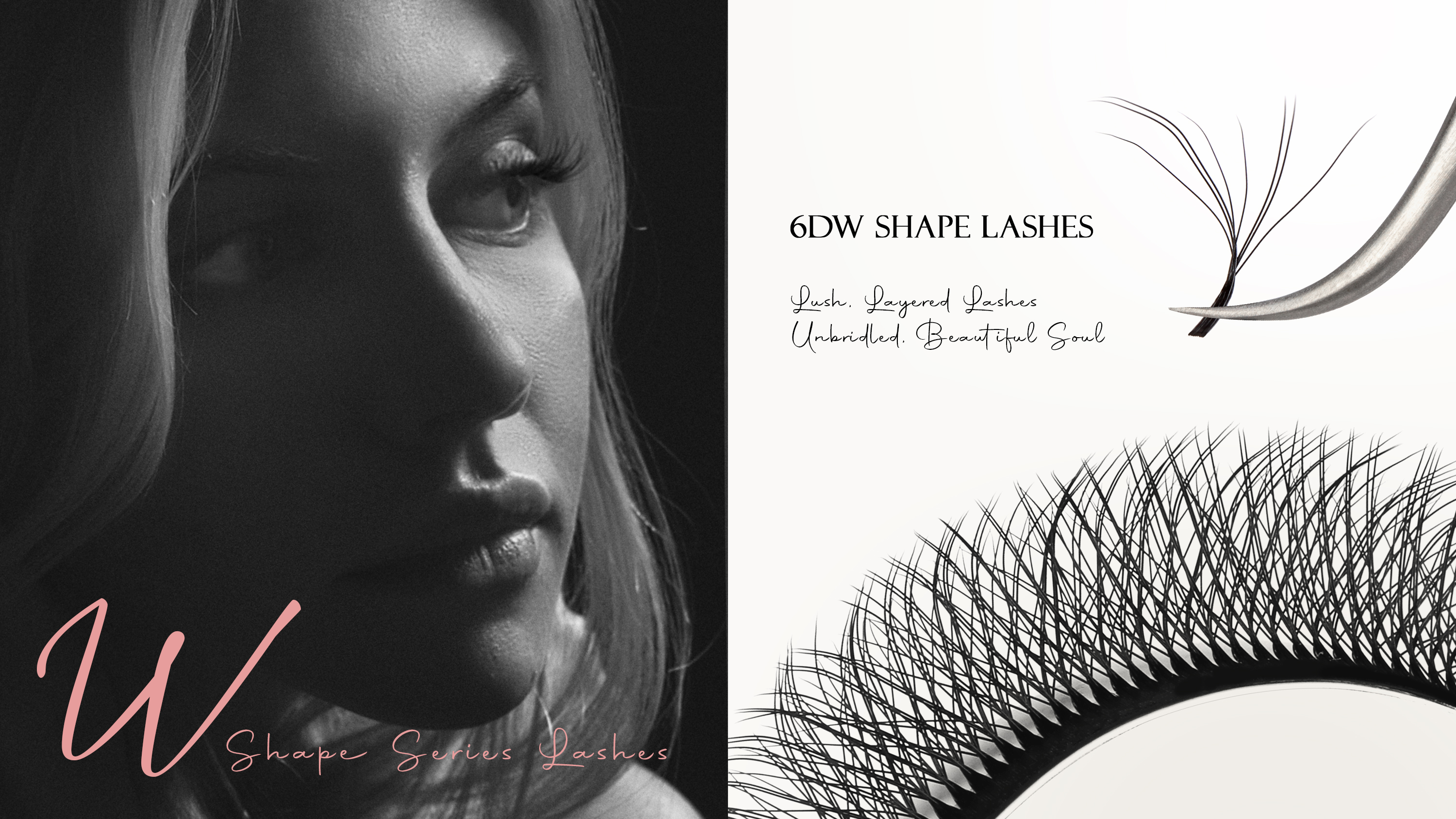 6Dw shape lashes