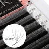 BEFER LU 3D W Shaped Premade Fans Eyelashes Extensions