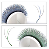 BEFER Green W Shaped Bloom 3D Automatic Flowering Premade Fans Eyelashes