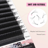 BEFER 5D W Shaped Premade Fans Eyelashes Extensions
