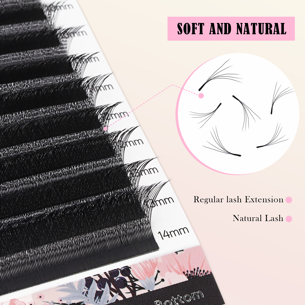 BEFER 5D W Shaped Premade Fans Eyelashes Extensions