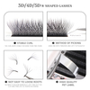 BEFER LU 3D W Shaped Premade Fans Eyelashes Extensions