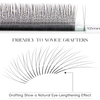 BEFER 2D Y Single Tip Eyelash Extension Smaller Spacing 2D W Shape Eyelash Extension Narrow 2D Lashes