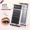 BEFER 6D W Shaped Premade Fans Eyelashes Extensions